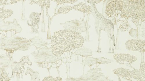 Shamwari  112244